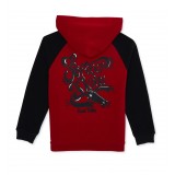 Tony Hawk Boys Long Sleeve Graphic Hoodie - Sizes 8-16