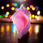 January 2024 Ipsy Glam Bag - Bag only NWOB 5x7”